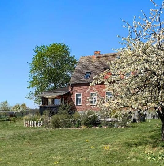 frühling_garten_hasenfelde_ferienwohnung