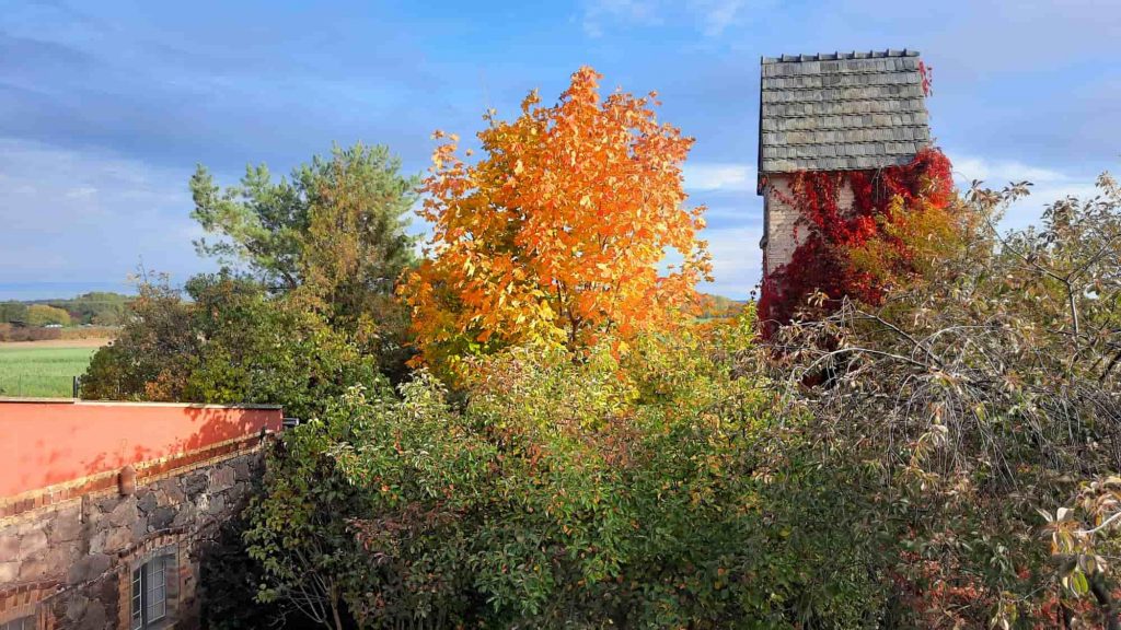 Garten_im_Herbst_kleine_auszeit_fewo