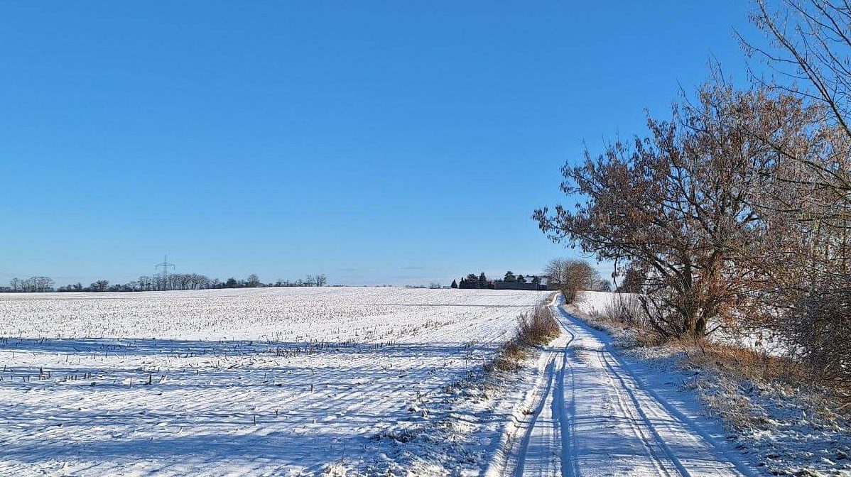 Zufahrt zum Vierseitenhof Hasenfelde über Feldweg